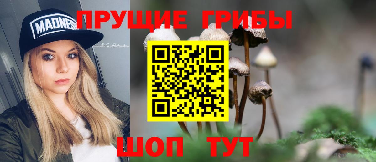 Реутов  Псилоцибиновые грибы Psilocybine cubensis  Вход с VPN 